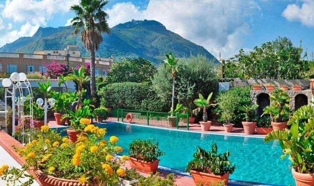 Junior Hotel Village