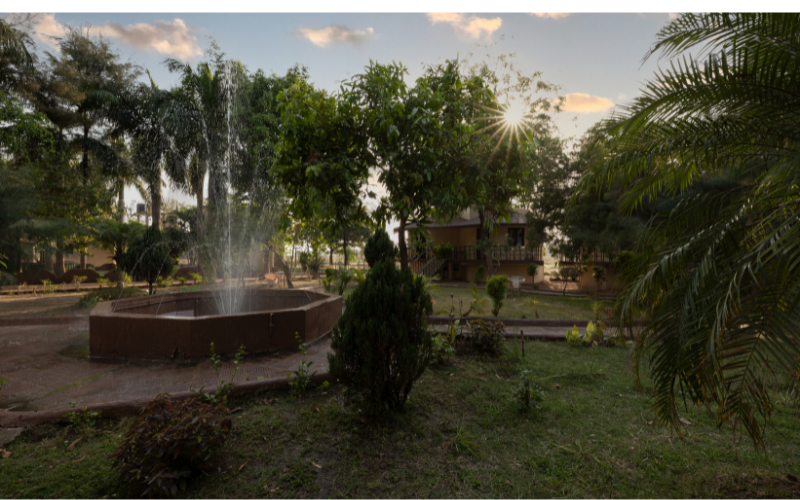 Galeria