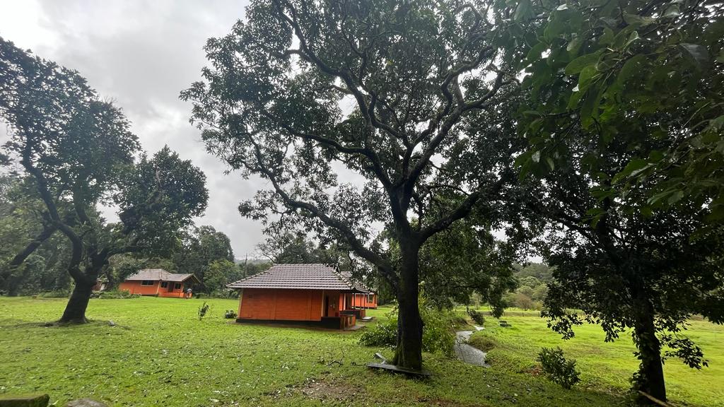 Backpacker's Nature Lodge in Theralu