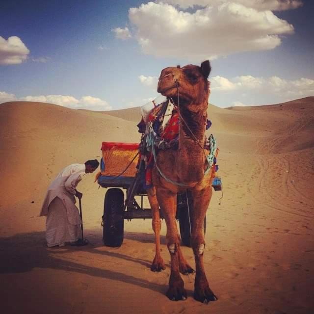 Hotel Chandra Haveli ( Boutique Home Stay )